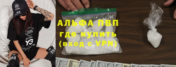 прущие грибы Верея