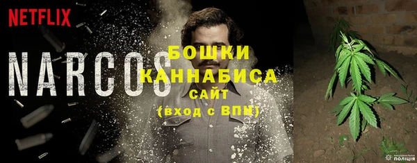 прущие грибы Верея