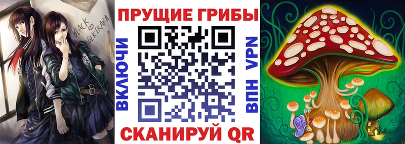Псилоцибиновые грибы мицелий  blacksprut зеркало  Дегтярск 